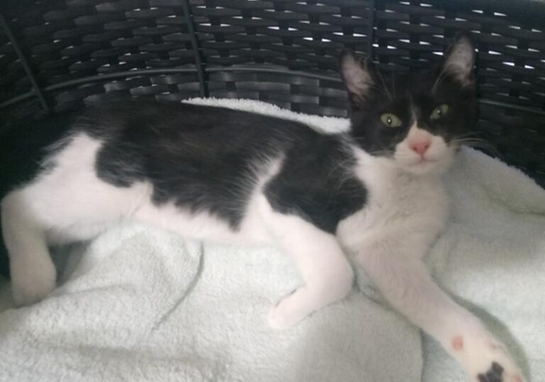 multimedia-foto58278-451-1