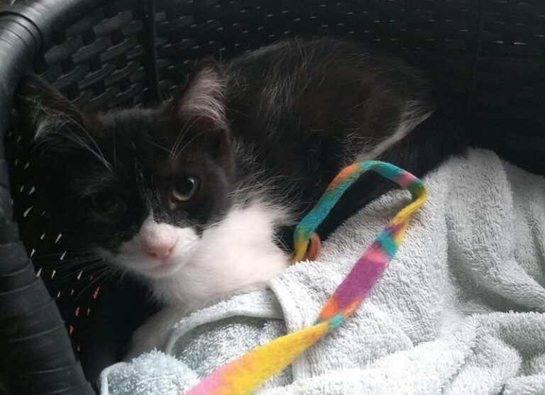 multimedia-foto58280-452-1