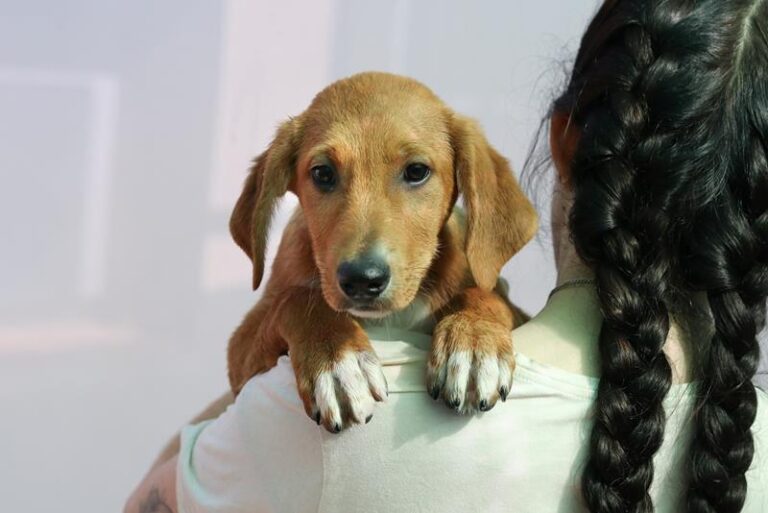 multimedia-foto58362-536-1