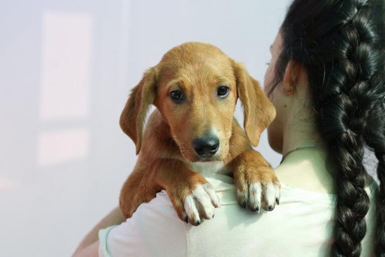 multimedia-foto58363-536-1