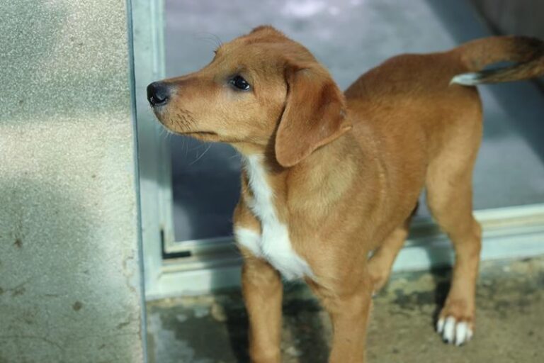 multimedia-foto58364-536-1