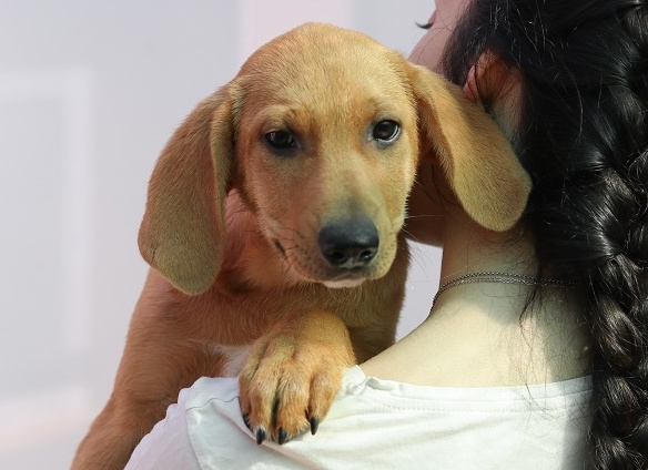 multimedia-foto58371-720-1