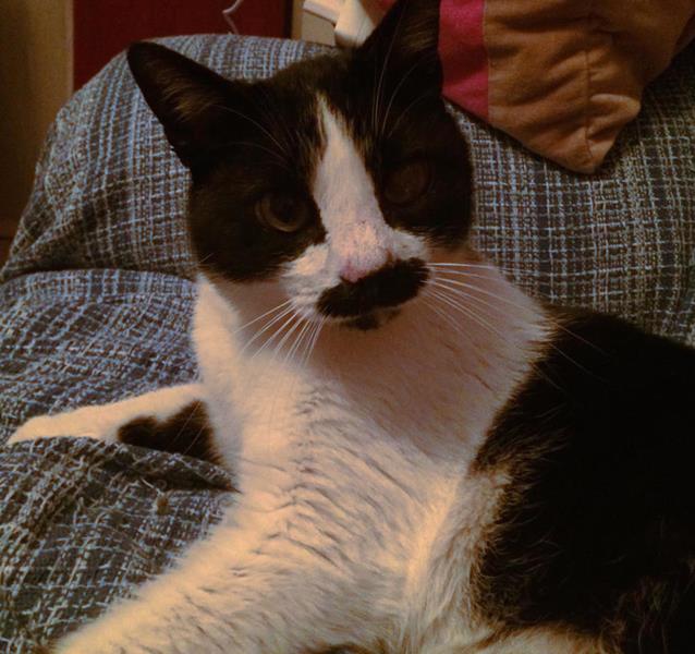 multimedia-foto58383-256-1