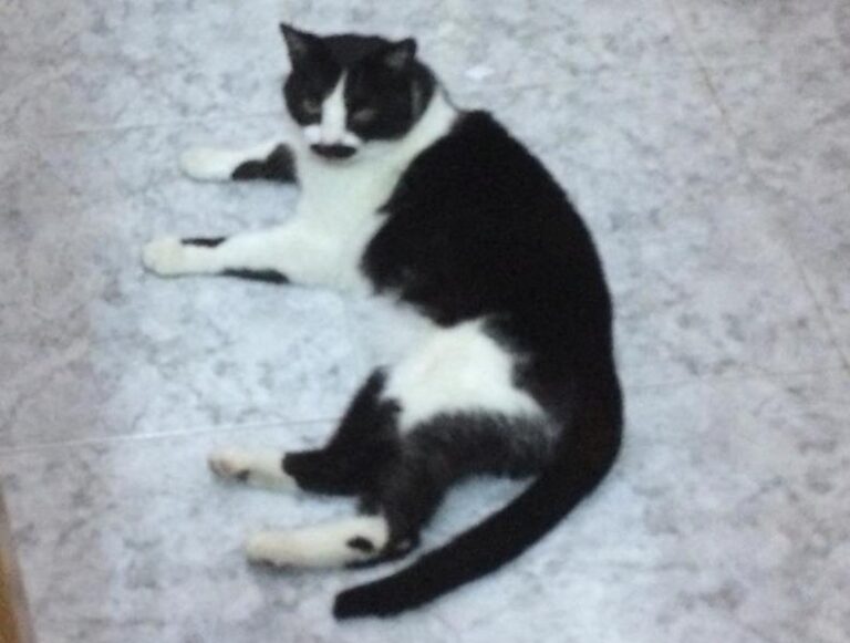 multimedia-foto58384-257-1