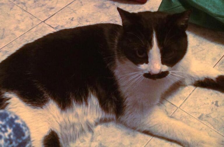 multimedia-foto58387-257-1