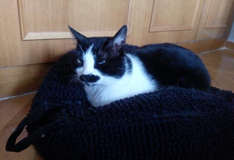 multimedia-foto58388-257-1