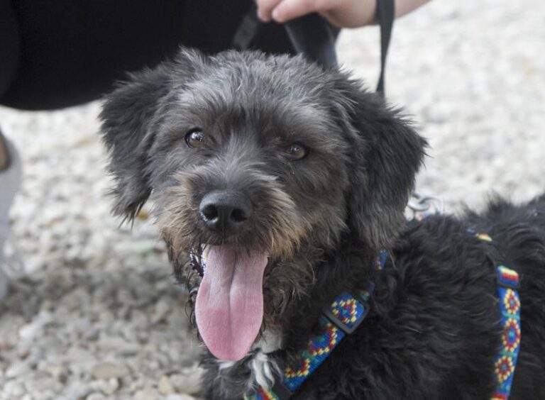 multimedia-foto58391-174-1