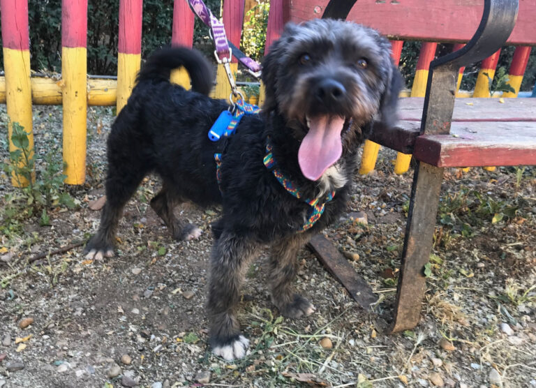 multimedia-foto58393-174-1