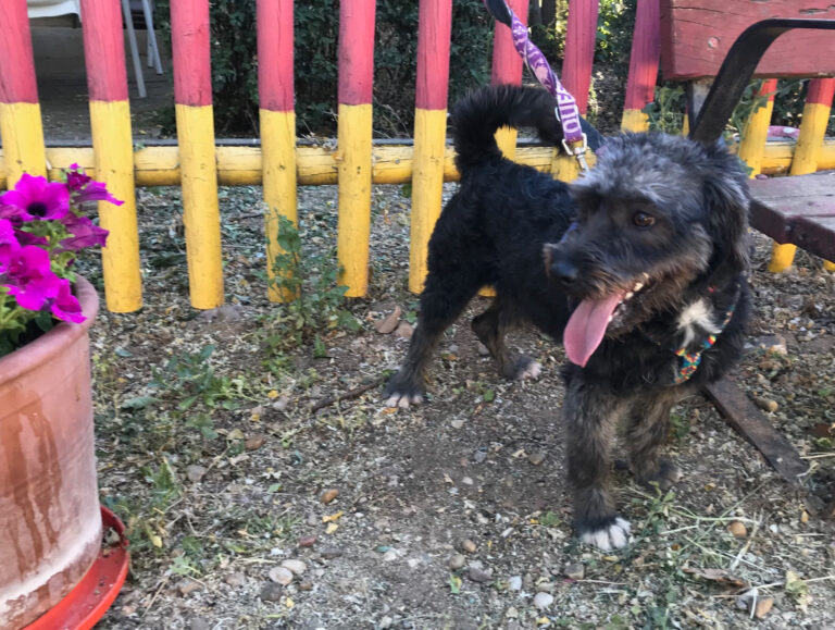 multimedia-foto58394-175-1