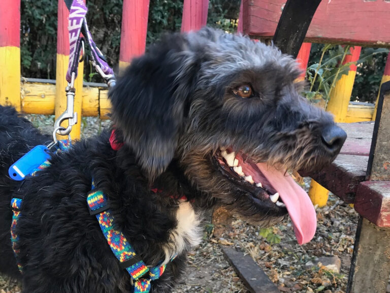 multimedia-foto58395-175-1