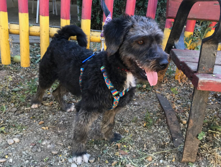 multimedia-foto58396-175-1