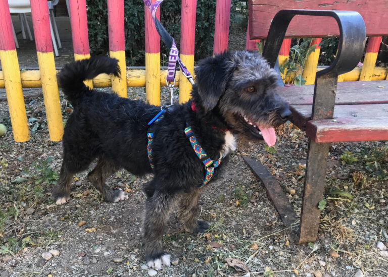 multimedia-foto58397-176-1