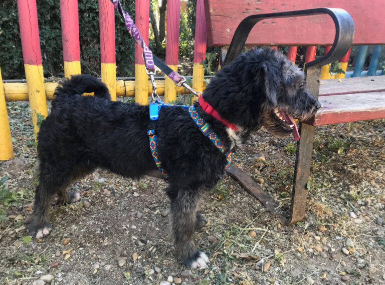 multimedia-foto58398-176-1