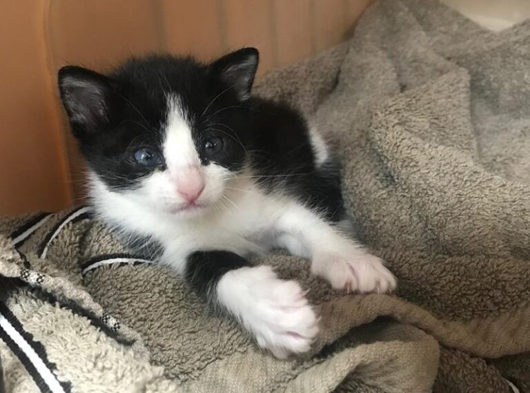 multimedia-foto58432-519-1