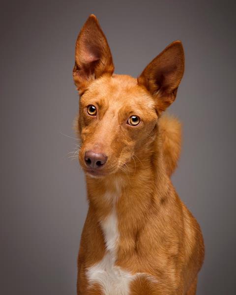 multimedia-foto58448-84-1