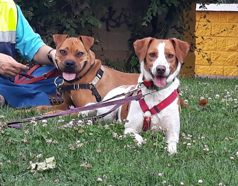 multimedia-foto58493-40-1