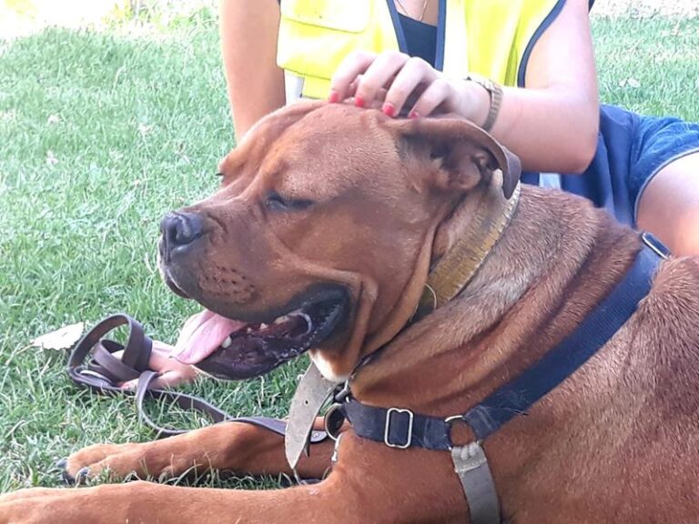 multimedia-foto58494-40-1