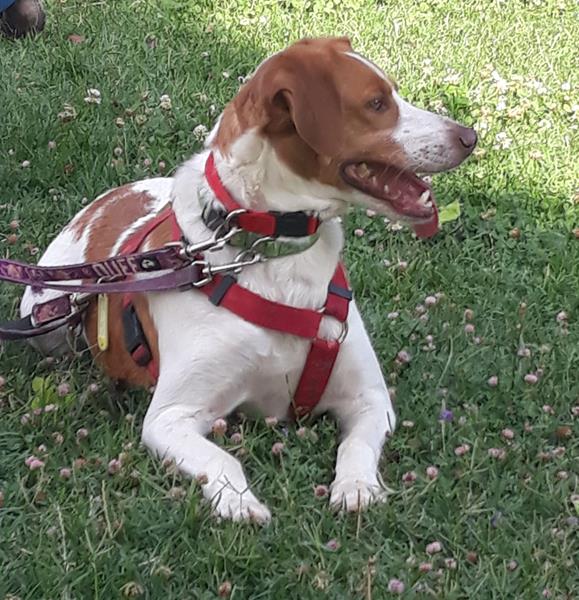 multimedia-foto58496-73-3