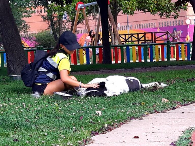 multimedia-foto58497-98-3