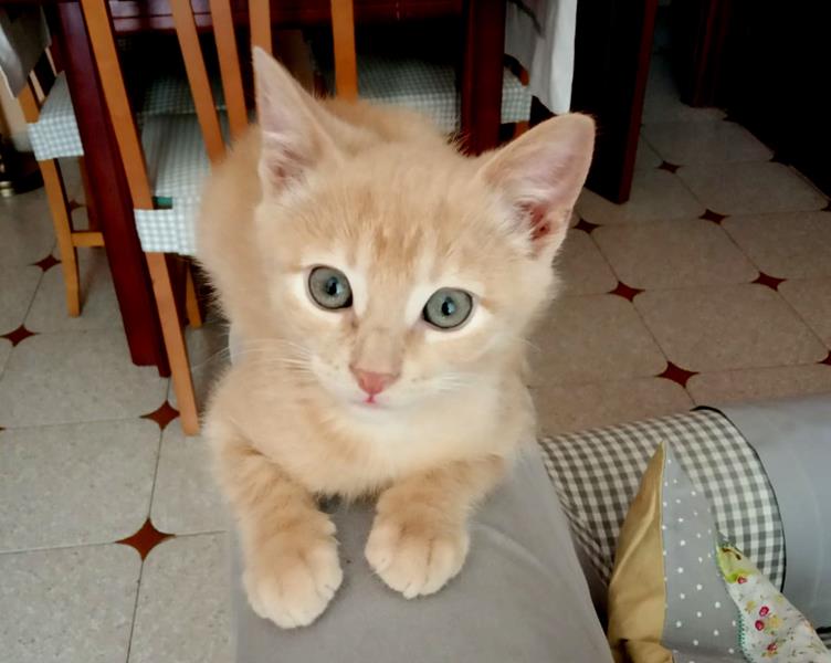 multimedia-foto58505-290-1