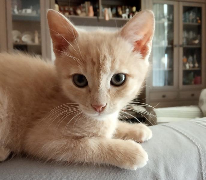 multimedia-foto58506-290-1