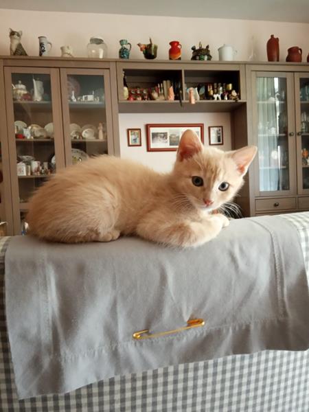 multimedia-foto58507-290-1