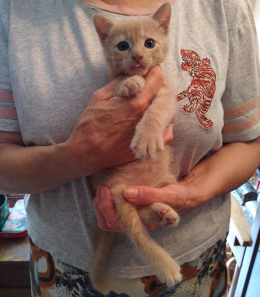 multimedia-foto58508-290-1