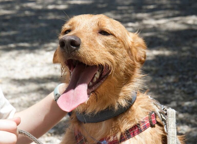 multimedia-foto58513-370-1