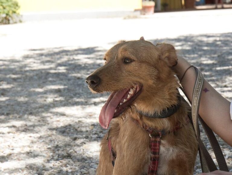 multimedia-foto58514-370-1