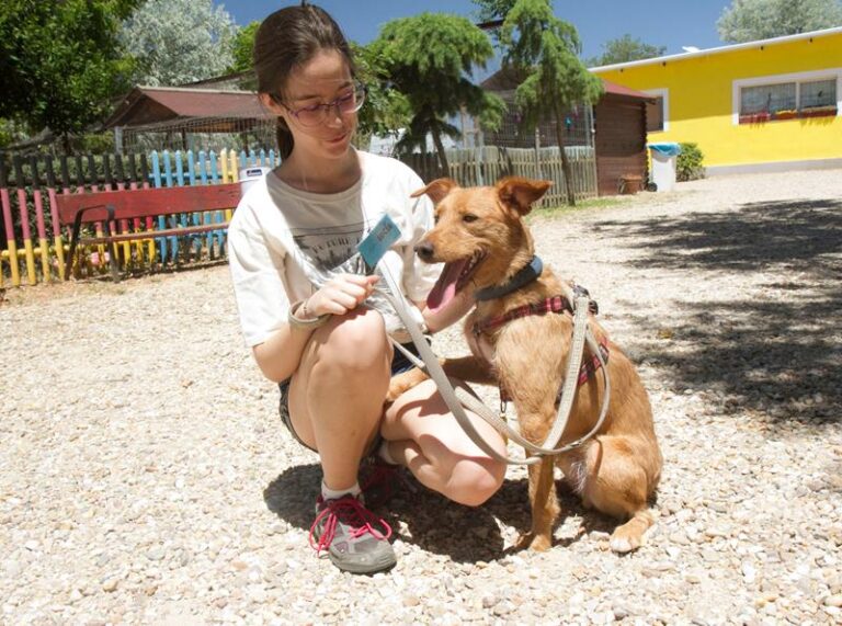 multimedia-foto58515-370-1