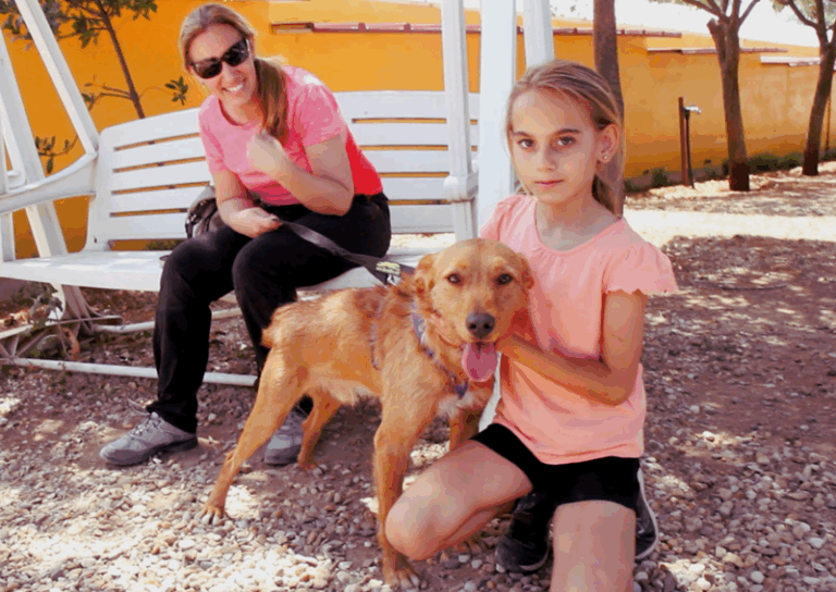 multimedia-foto58516-370-1