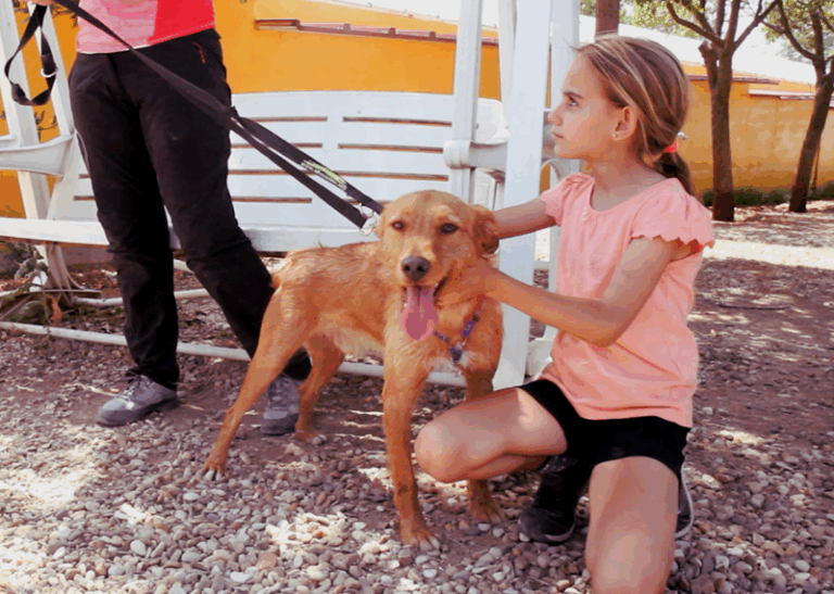 multimedia-foto58517-371-1