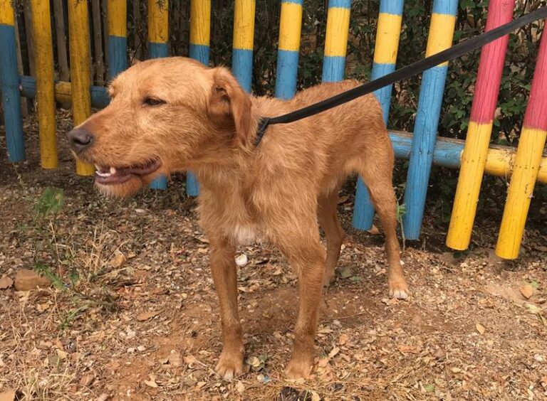 multimedia-foto58518-371-1