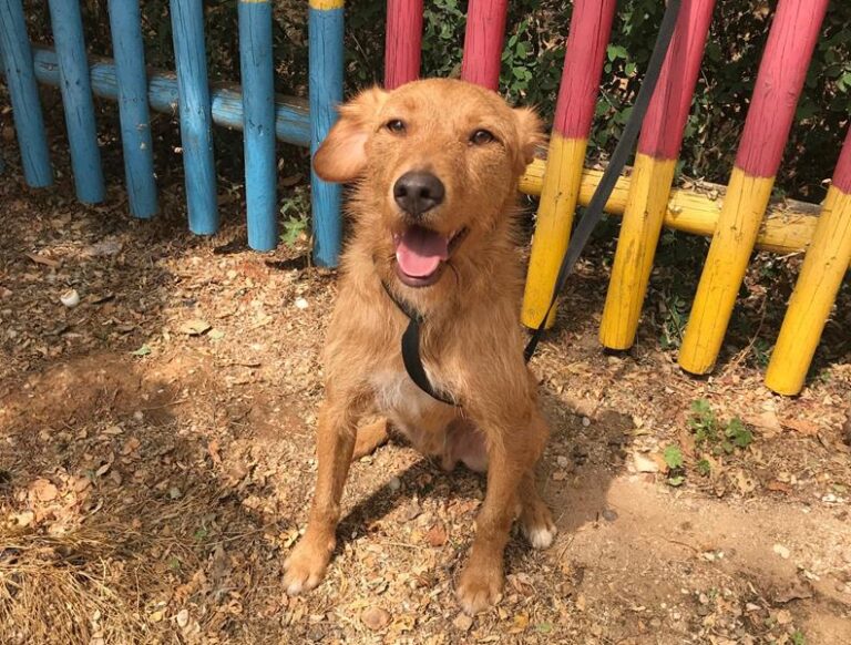 multimedia-foto58519-371-1