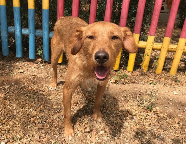 multimedia-foto58520-371-1