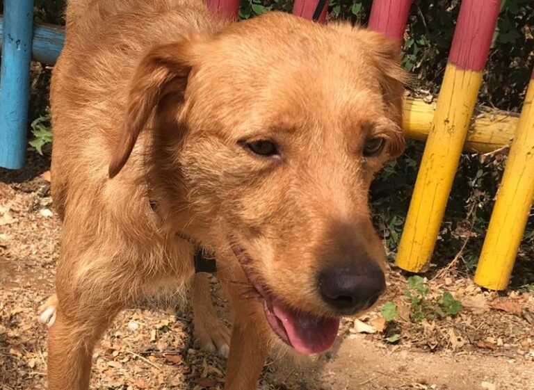 multimedia-foto58521-372-1