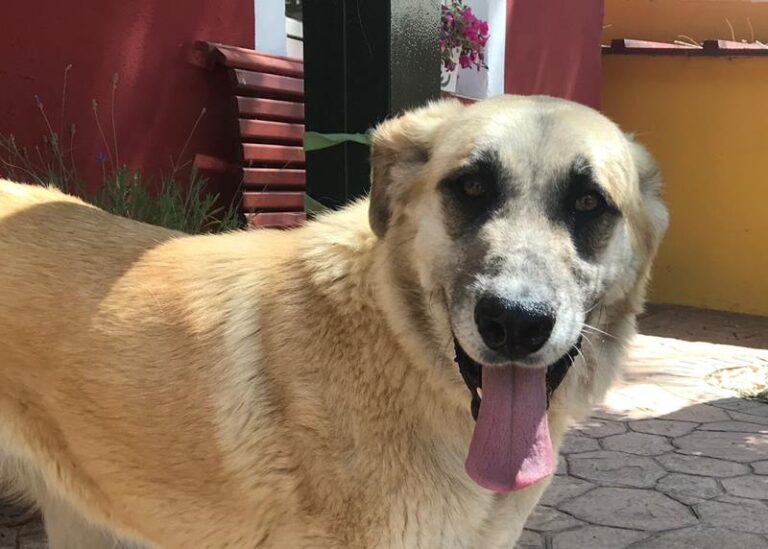 multimedia-foto58558-956-1