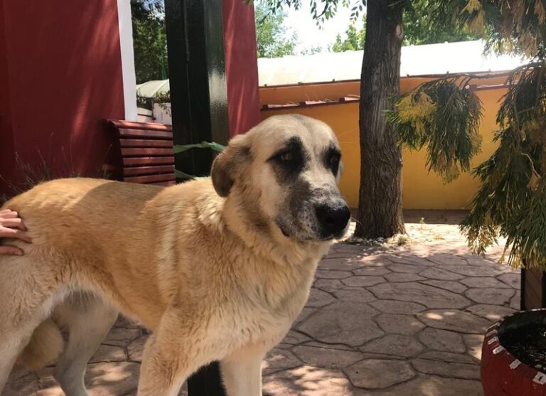 multimedia-foto58560-956-1