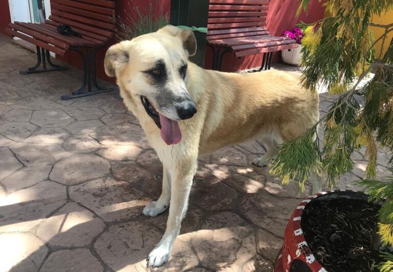 multimedia-foto58561-956-1