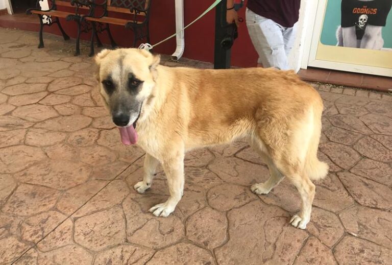 multimedia-foto58563-956-1