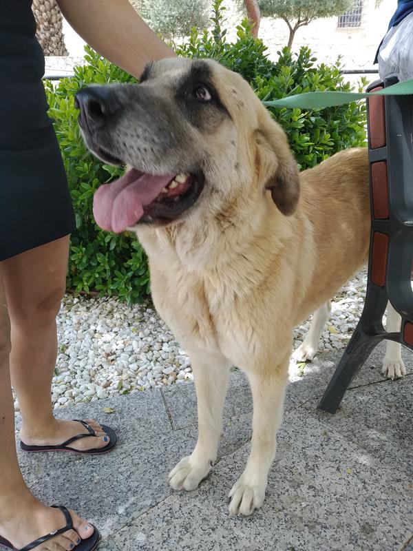 multimedia-foto58564-957-1