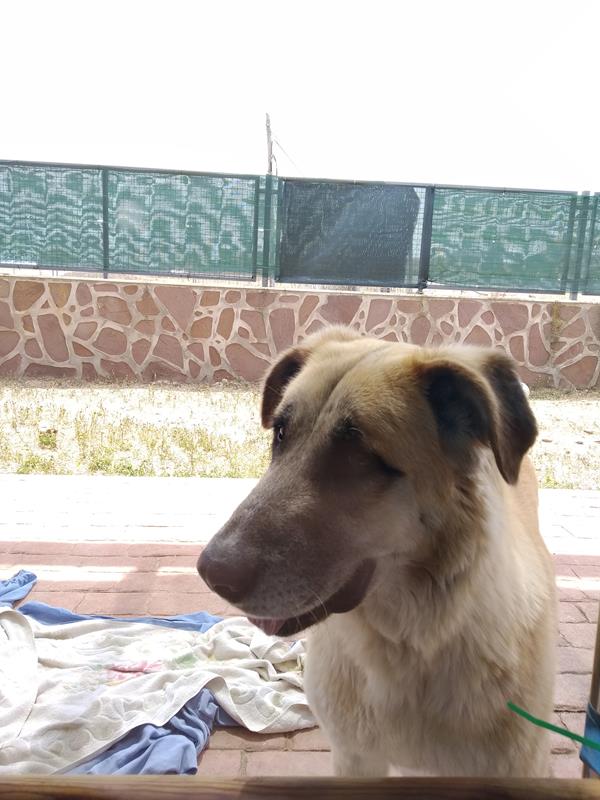 multimedia-foto58565-957-1