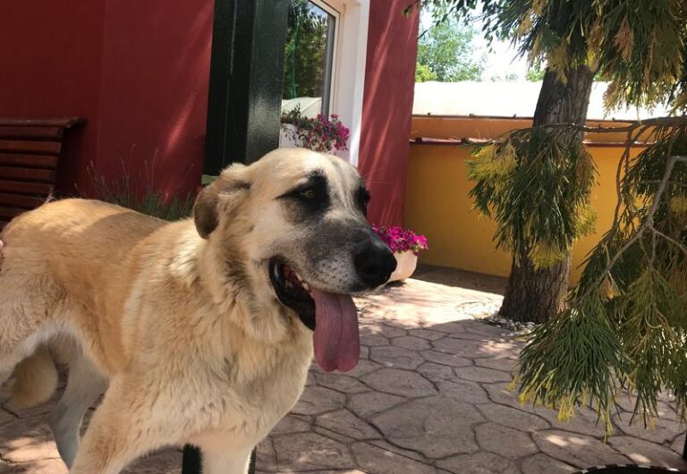 multimedia-foto58566-986-1