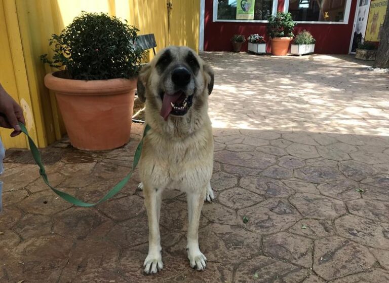 multimedia-foto58567-986-1