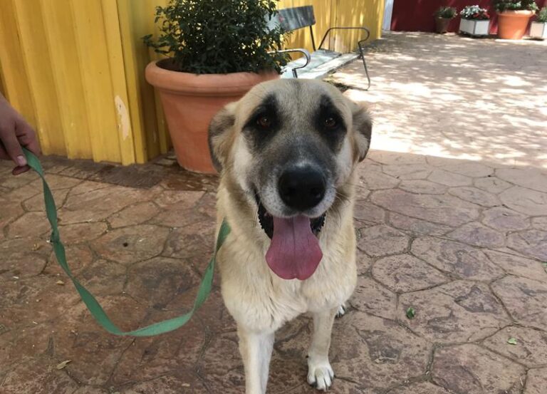 multimedia-foto58568-987-1