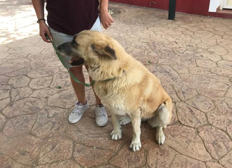 multimedia-foto58569-987-1