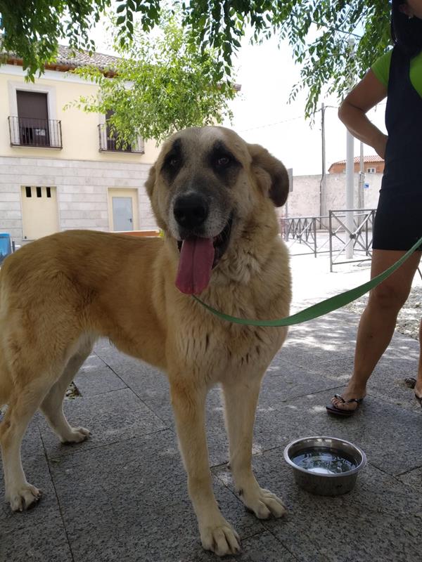 multimedia-foto58570-987-1