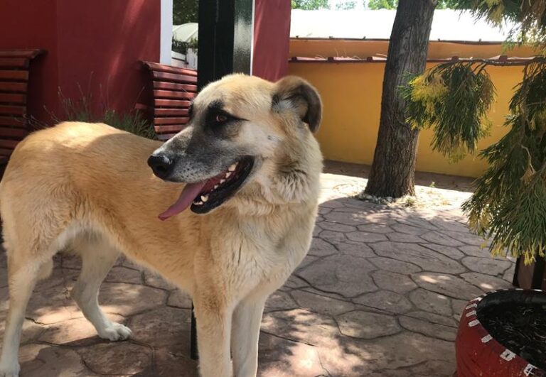 multimedia-foto58571-103-1