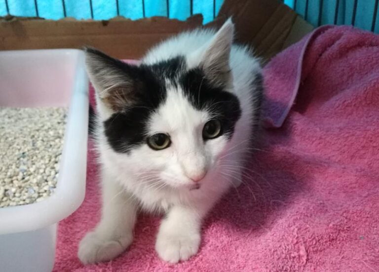 multimedia-foto58575-235-1