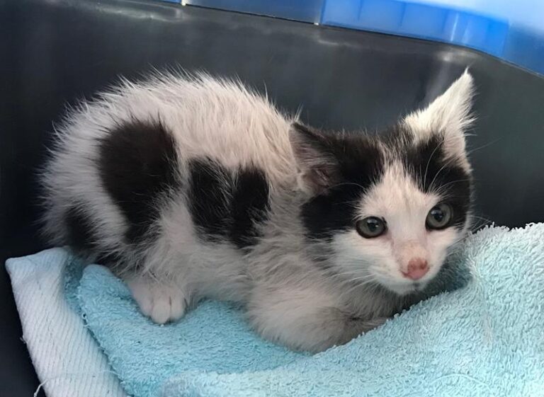 multimedia-foto58578-339-1